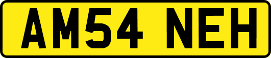 AM54NEH