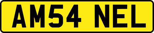 AM54NEL
