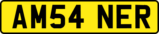 AM54NER