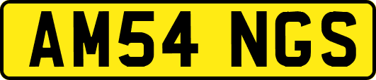 AM54NGS
