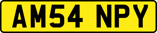 AM54NPY