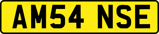 AM54NSE