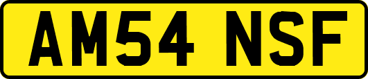 AM54NSF
