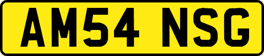 AM54NSG