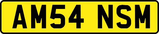 AM54NSM