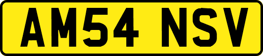 AM54NSV