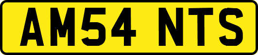 AM54NTS