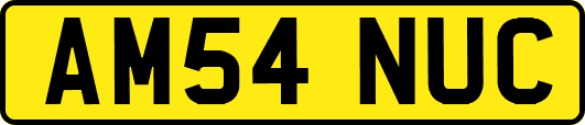 AM54NUC