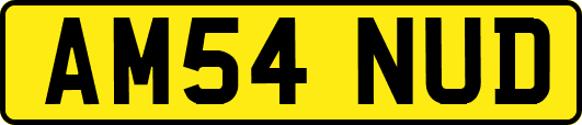 AM54NUD