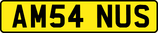 AM54NUS