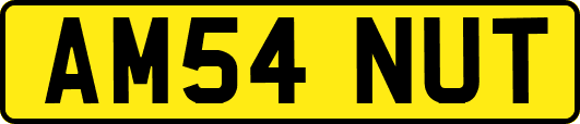 AM54NUT