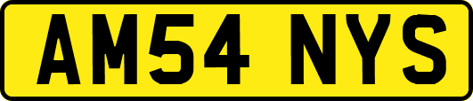 AM54NYS