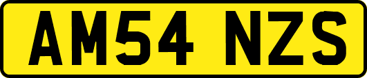 AM54NZS
