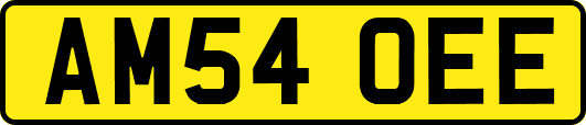AM54OEE