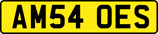 AM54OES