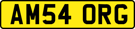 AM54ORG