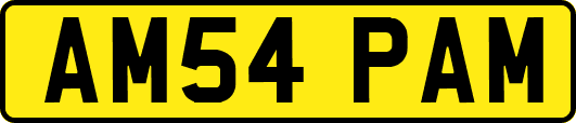 AM54PAM