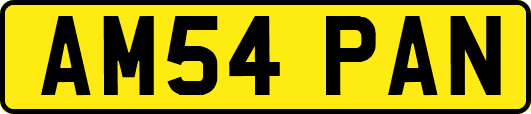 AM54PAN