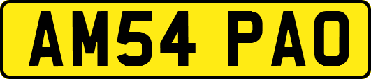AM54PAO