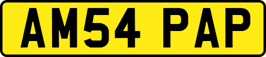 AM54PAP