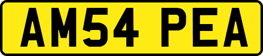 AM54PEA