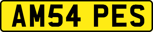 AM54PES