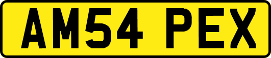 AM54PEX