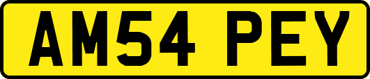 AM54PEY