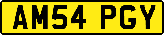 AM54PGY