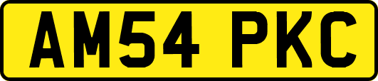 AM54PKC