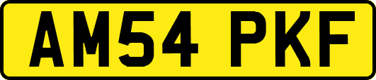 AM54PKF