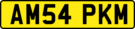 AM54PKM