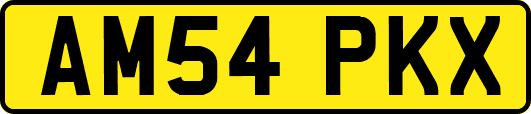 AM54PKX
