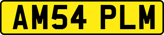 AM54PLM