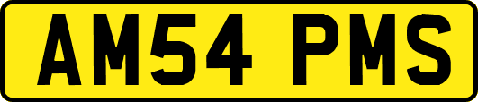 AM54PMS