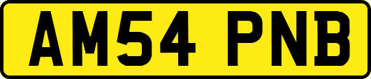AM54PNB