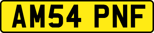 AM54PNF