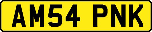 AM54PNK