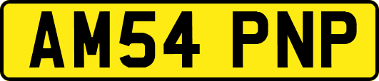 AM54PNP