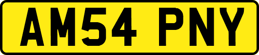 AM54PNY