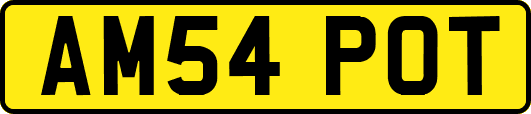 AM54POT