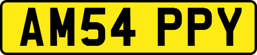 AM54PPY