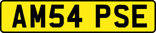 AM54PSE
