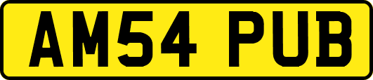 AM54PUB