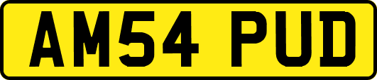 AM54PUD