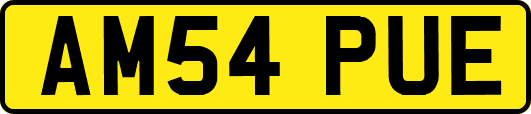 AM54PUE