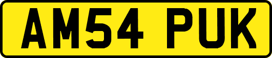 AM54PUK