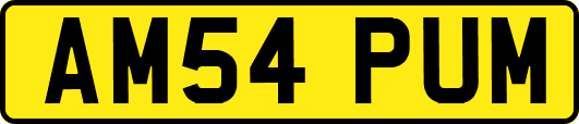AM54PUM