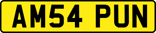 AM54PUN