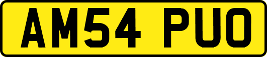 AM54PUO